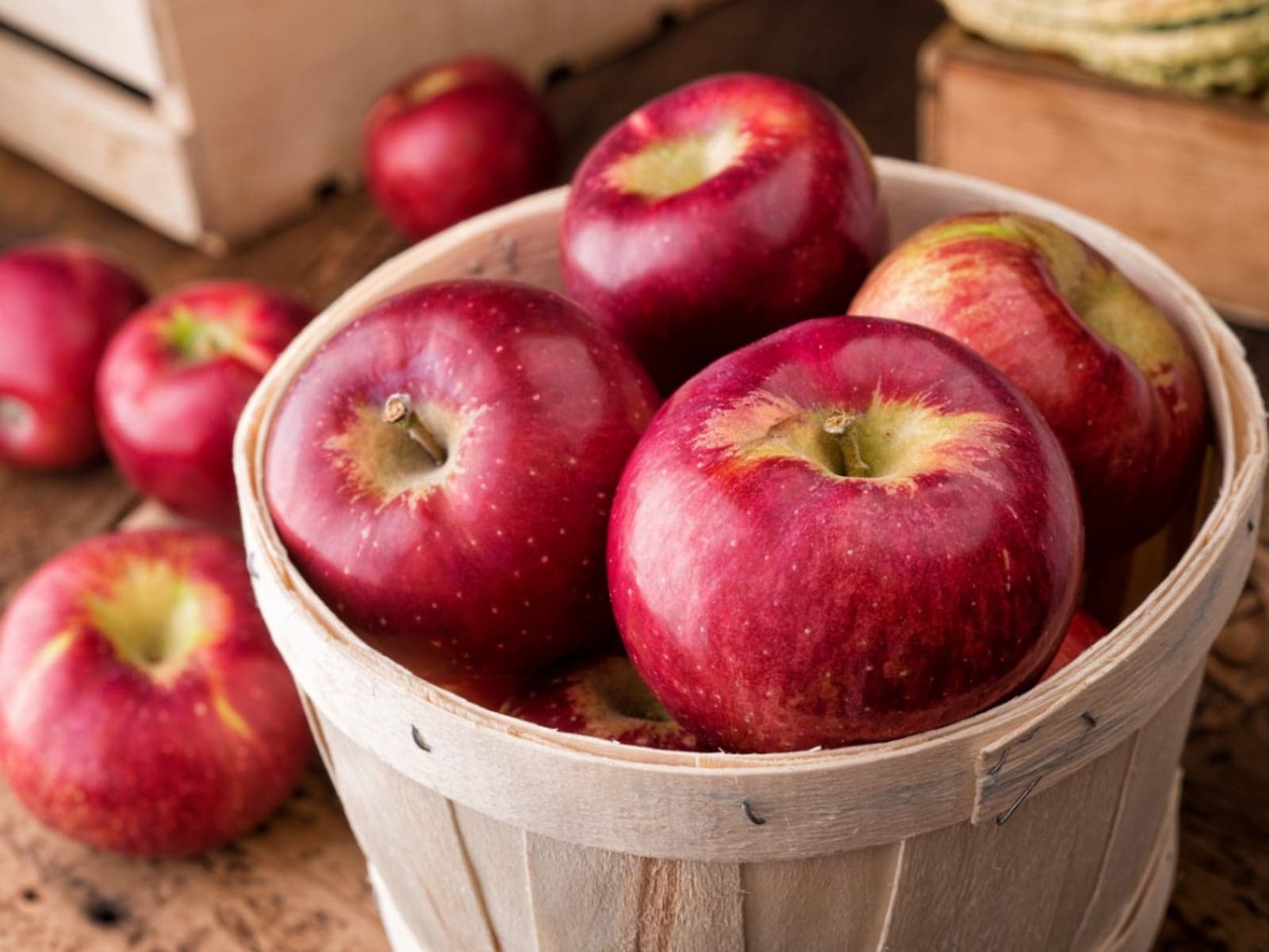 Red Delicious Apple