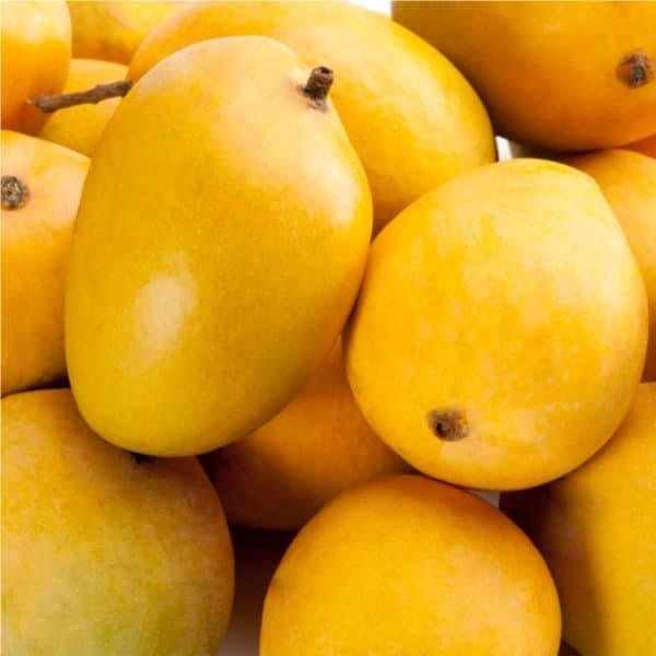 Anwar Ratol Mango