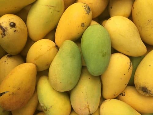 Saroli Mango